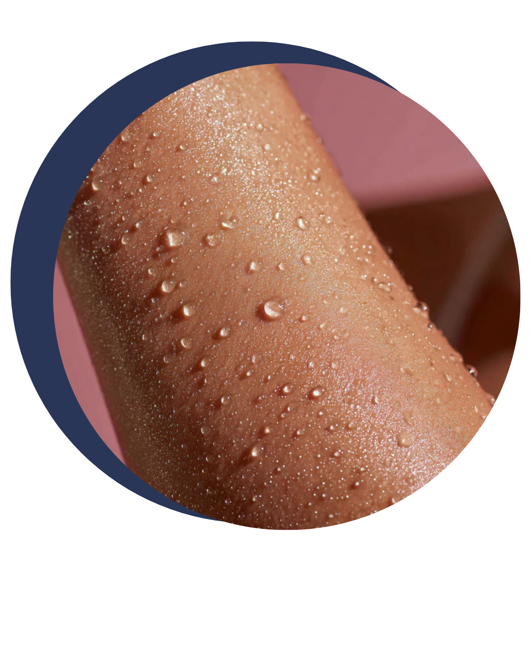 Butyrospermum Parkii (Shea) Oil